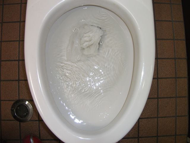洋式トイレ排水不良調査 及び 排水管清掃 カンセイのスタッフブログ